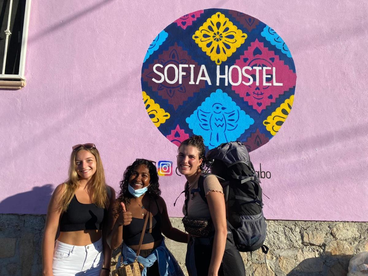 كابو سان لوكاس Sofia Hostel Cabo المظهر الخارجي الصورة