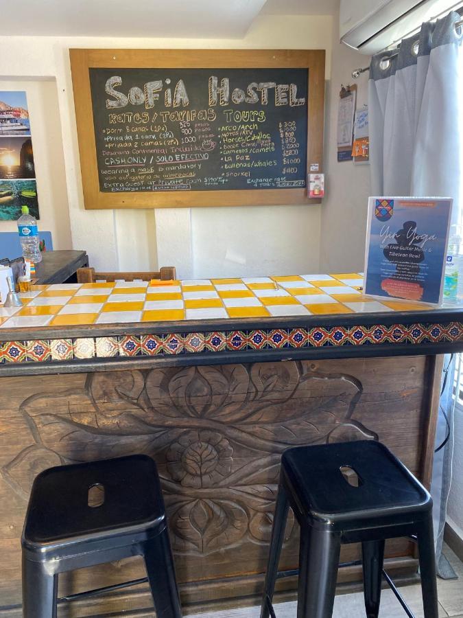 كابو سان لوكاس Sofia Hostel Cabo المظهر الخارجي الصورة